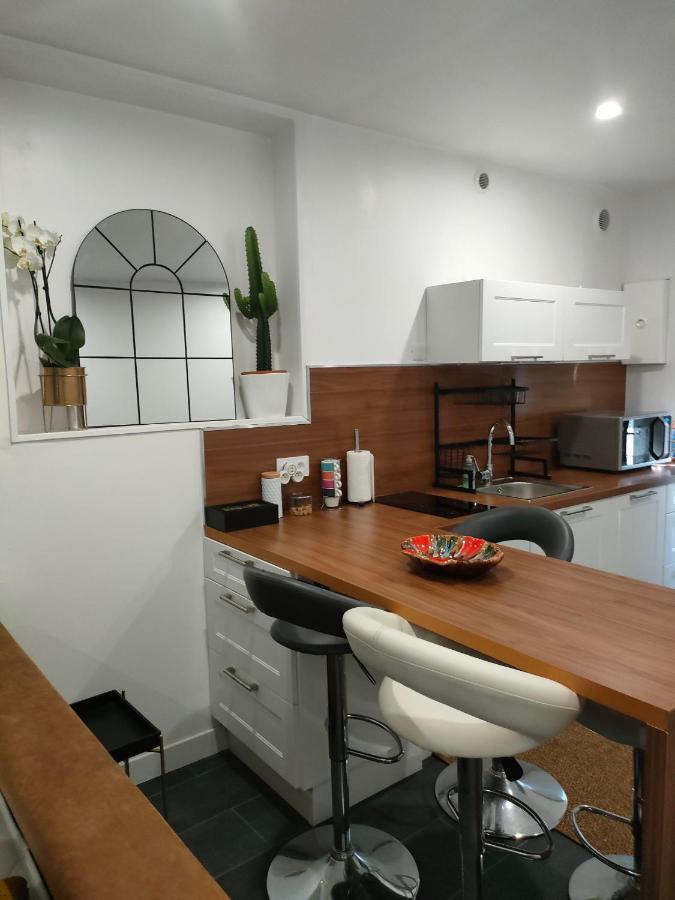 Le Petit Cocon - Parking Prive - Lyon Sud Apartment Venissieux Ngoại thất bức ảnh